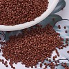MIYUKI Delica Beads SEED-J020-DB0794-1