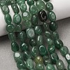 Natural Green Aventurine Beads Strands G-G146-A33-01-7