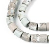 Natural Variscite Beads Strands G-T141-96A-4