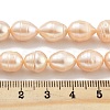 Natural Cultured Freshwater Pearl Beads Strands PEAR-P062-13B-5