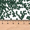 MIYUKI Round Rocailles Beads SEED-G008-RR0156-4