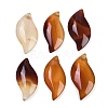 Natural Agate(Dyed & Heated) Pendants G-H082-03-1