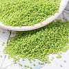MIYUKI Round Rocailles Beads SEED-G009-RR0416-1