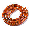 Natural Freshwater Shell Beads Strands SHEL-Q024-001G-2
