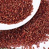 MIYUKI Delica Beads X-SEED-J020-DB0601-1