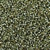 MIYUKI Delica Beads X-SEED-J020-DB2163-3