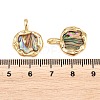 Brass Natural Paua Shell Irregular Pendants KK-I453-01G-01-3