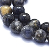 Natural Iolite Beads Strands G-E561-16-10mm-4