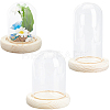 3 Style Glass Cover AJEW-SC0001-60A-1