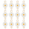 12Pcs Natural Freshwater Shell Flower Connector Charms PALLOY-HS00006-1