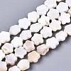 Natural Freshwater Shell Beads Strands SHEL-N027-02-1