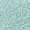 TOHO Round Seed Beads SEED-TR11-PF2116-2