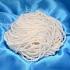 Round Shell Pearl Bead Strands BSHE-L011-2.5mm-A013-2