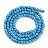Synthetic Turquoise Beads Strands G-U004-02J-3