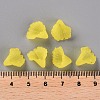 Frosted Acrylic Bead Caps MACR-S371-10A-717-5