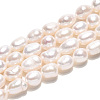 Natural Cultured Freshwater Pearl Beads Strands PEAR-N014-06I-2