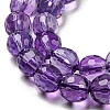 Natural Amethyst Beads Strands G-C079-B03-01-4