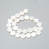 Natural Freshwater Shell Beads BSHE-I011-01B-02-2