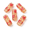 Handmade Lampwork Enamel  Beads LAMP-B051-01F-1