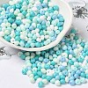 6/0 Opaque Baking Paint Glass Seed Beads X1-SEED-M012-02A-23-1