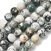 Natural Tree Agate Beads Strands G-T150-A09-12mm-2