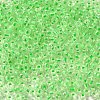 8/0 Transparent Glass Seed Beads SEED-F003-03B-13-3