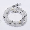 Natural Tourmalinated Quartz Beads Strands G-P336-02A-8mm-2