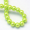 Baking Paint Pearlized Glass Pearl Round Bead Strands X-HY-Q003-6mm-66-4