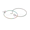 Rainbow Color Ion Plating(IP) 316 Surgical Stainless Steel Hoop Earrings Findings STAS-D183-02M-02-2