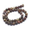 Natural Petrified Wood Beads Strands LS-G-I254-07B-2