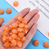 Imitation Jelly Acrylic Beads MACR-S373-92-E05-6