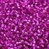 Glass Seed Beads SEED-S042-04B-21-3