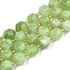 Natural Dolomite Beads Strands G-T131-85B-12-1