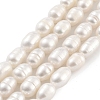 Natural Cultured Freshwater Pearl Beads Strands PEAR-P062-08D-2