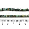 Natural African Turquoise(Jasper) Beads Strands X-G-A220-B03-01-5