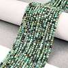 Natural African Turquoise(Jasper) Beads Strands X-G-A02-02-2