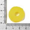 Resin Imitation Fruit Model DJEW-G047-01F-3