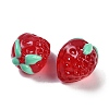 Handmade Lampwork Beads Strand LAMP-I027-10E-3