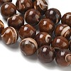 Natural Trochus Shell Beads Strands SH-CBAFEDD-02D-3