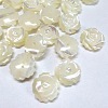 Half Drilled Natural White Shell Rose Flower Flatback Beads X-SH159-2