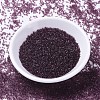 MIYUKI Delica Beads Small SEED-X0054-DBS1104-2