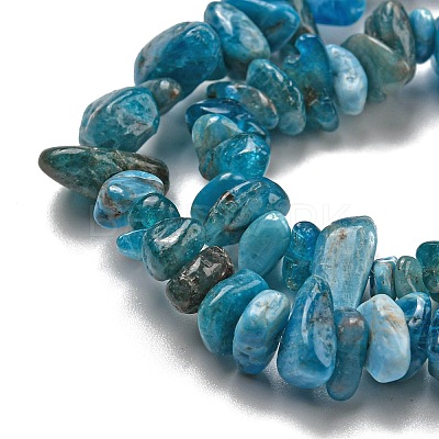 Natural Apatite Beads Strands X-G-F666-01B-02-01-1