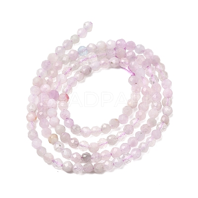 Natural Kunzite Beads Strands G-G343-B03-3mm-1