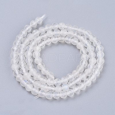 Natural Rainbow Moonstone Beads Strands G-R475-030-1