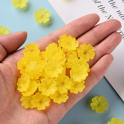 Transparent Frosted Acrylic Bead Caps MACR-S371-04A-717-1