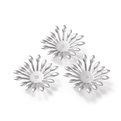 Non-Tarnish 304 Stainless Steel Bead Caps STAS-K194-13P-1