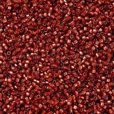 MIYUKI Delica Beads X-SEED-J020-DB2173-1