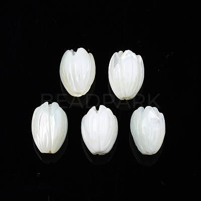 Natural Trochid Shell/Trochus Shell Beads SSHEL-T014-33-1