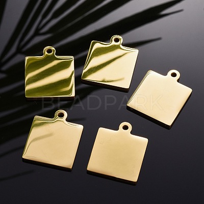 304 Stainless Steel Pendants STAS-I140-23B-G-1