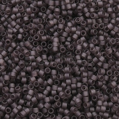 MIYUKI Delica Beads X-SEED-J020-DB2405-1